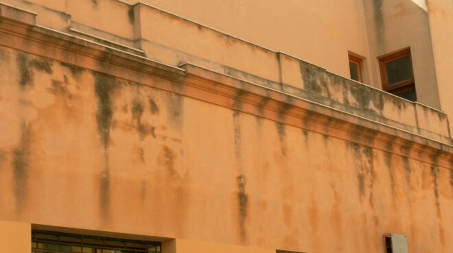 trattamento antialga in facciata